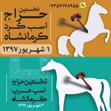 Telegram profile photo for حراج اسب کرد و عرب کرمانشاه