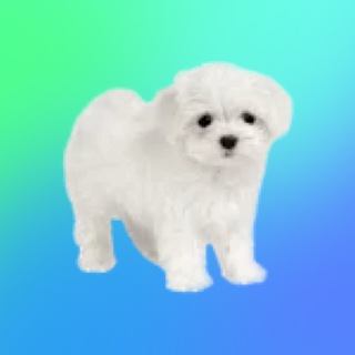 Telegram group profile photo for Нетворк Т-Банк/IT пикник