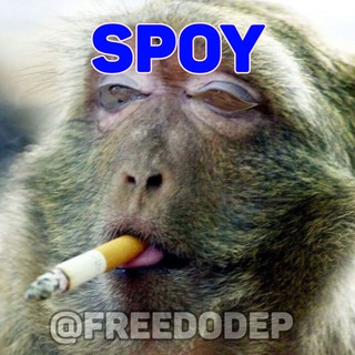 Telegram profile photo for SPOYLUDOCASINO BET