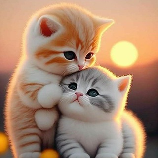 Telegram profile photo for خواطر مبعثرة