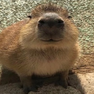 Telegram profile photo for UncleCapy3D