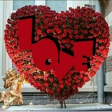 Telegram profile photo for ❤️ L O V E ❤️