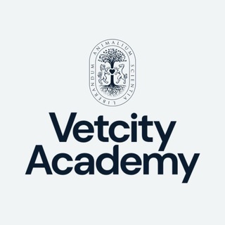 Telegram profile photo for 💙 Академия Vetcity