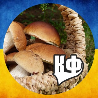 Telegram profile photo for Грибарі Калуського району