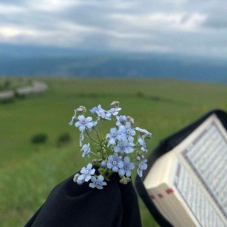 Telegram profile photo for لأهل القرآن