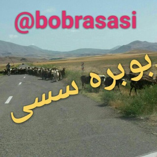 Telegram profile photo for بوبره سسی
