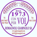 Telegram profile photo for Romagnoli Giampaolo srl