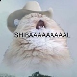 Telegram profile photo for r3nva -маленький орущий кот