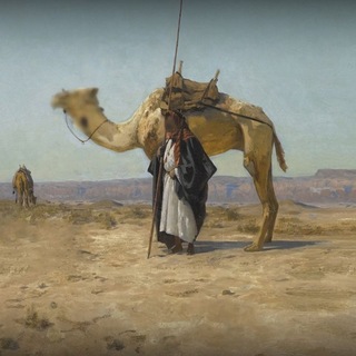 Telegram profile photo for المُختار من الأشعار