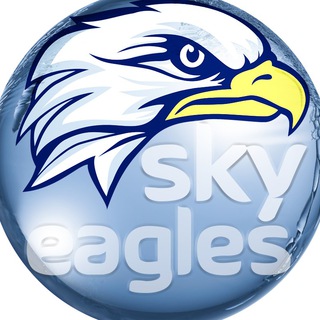 Telegram profile photo for عقابان آسمان