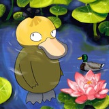 Telegram profile photo for Psyduck Therapy