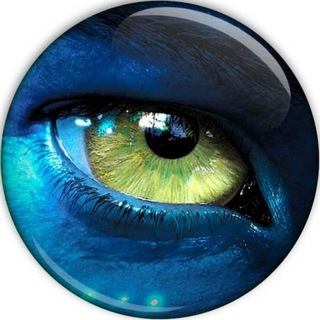 Telegram profile photo for Регистратор