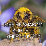 Telegram profile photo for Сумасшедший дом