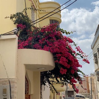 Telegram profile photo for خواطر