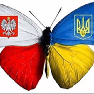 Telegram profile photo for Польща: підтримка українців 🇺🇦🇵🇱