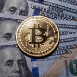 Telegram profile photo for Bitcoins forex traders