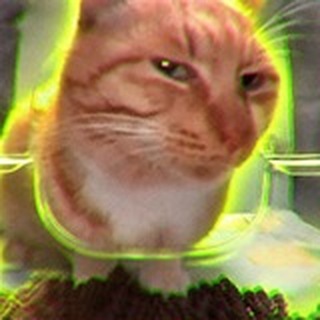 Telegram profile photo for Suspicious Cat - Portal