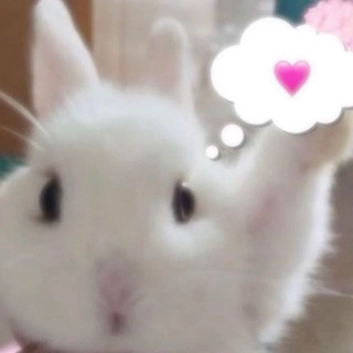 Telegram profile photo for переходник кета!!