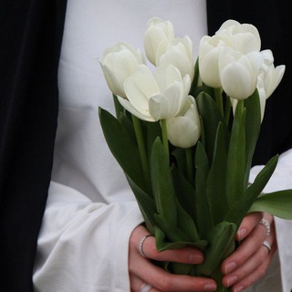 Telegram profile photo for Soliham_ق