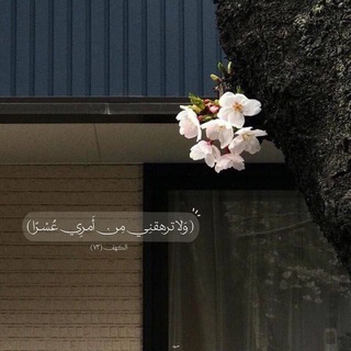 Telegram profile photo for يَقِـين🌷
