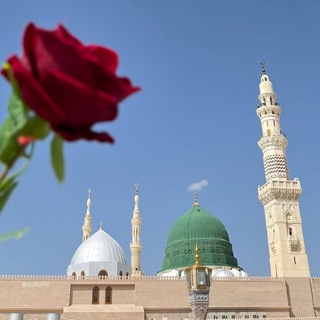 Telegram profile photo for سیرت پیامبر اکرمﷺ🤍🌱