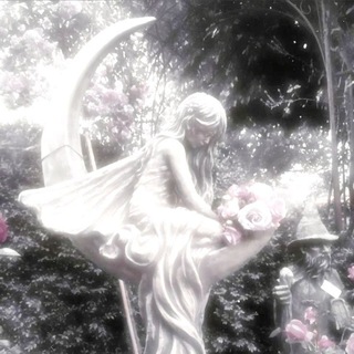 Telegram profile photo for 美の創造者𝐥𝐢𝐤𝐞 𝐋𝐮𝐥𝐮 ₊⊹ ° ׄ .° ₊