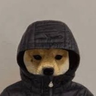 Telegram profile photo for FIW Portal