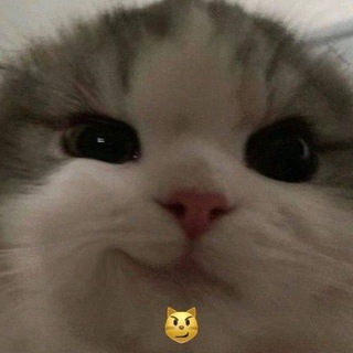 Telegram profile photo for Fire me up