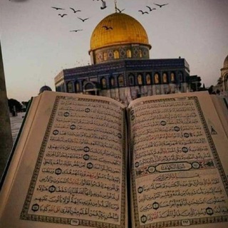 Telegram profile photo for هنا نبدأ وفي الجنة نلتقي 🤍.