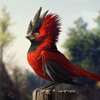 Telegram profile photo for Пивоваров Алексей - обсуждаю и создаю игры | Движуха Сакутина