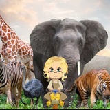 Telegram profile photo for резернянка ашалела