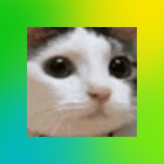 Telegram profile photo for Cryptus
