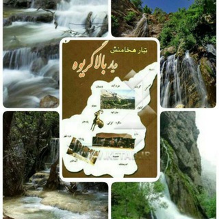 Telegram profile photo for کانال بالا گریوه