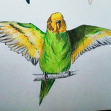 Telegram profile photo for 💚 Пепеки 💙 Pepeki 🍃