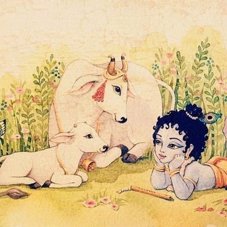 Telegram profile photo for गौवत्स