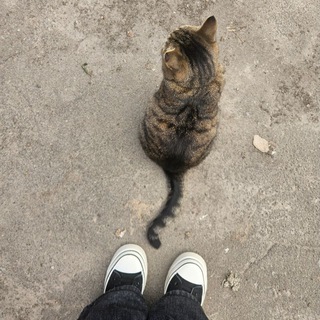 Telegram profile photo for Прайс