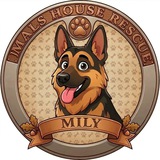 Telegram profile photo for Mily - Portal