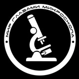Telegram profile photo for Pathological analyses