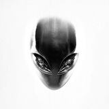 Telegram profile photo for MidnightSignal