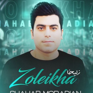Telegram profile photo for 🎤 شهاب مرادیان 🎶