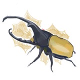 Telegram profile photo for Квас˙ᵕ˙ архив