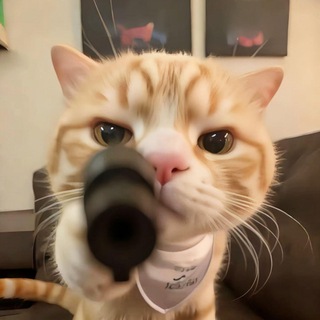 Telegram profile photo for 吃瓜︱搞笑︱内涵视频