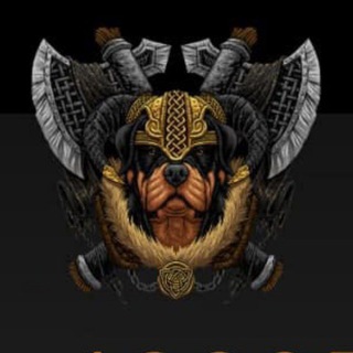 Telegram profile photo for Ninja airdrop