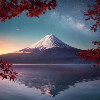 Telegram profile photo for Тёплая дружеская обстановка