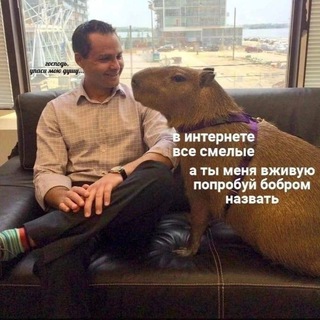 Telegram profile photo for Капибаробар
