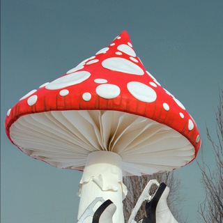 Telegram profile photo for Polyaizderevki