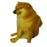 Telegram profile photo for Произошeл клоунизм