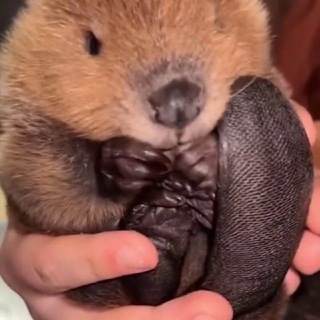 Telegram profile photo for Переходник плотины Малины