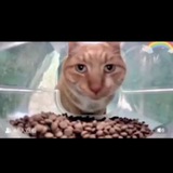 Telegram profile photo for Контент от друга