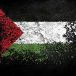 Telegram profile photo for Eyes On Gaza 🔴
